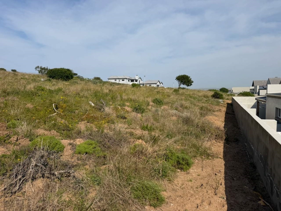 0 Bedroom Property for Sale in Reebok Western Cape